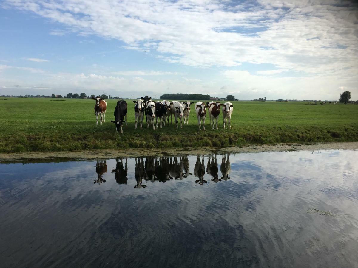 Vakantiehuis Het Voorhuis Op Landgoed Koepeltjesplaats Gaast Exterior foto