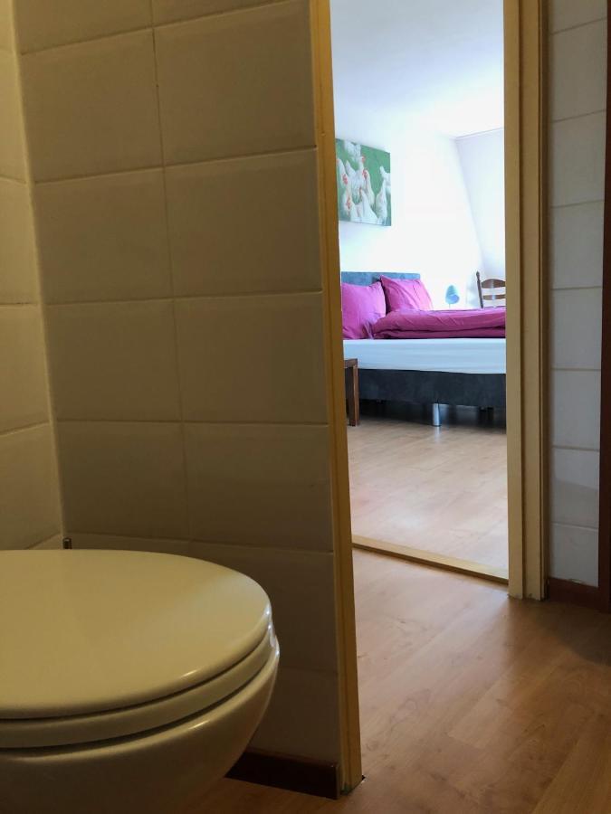 Vakantiehuis Het Voorhuis Op Landgoed Koepeltjesplaats Gaast Exterior foto